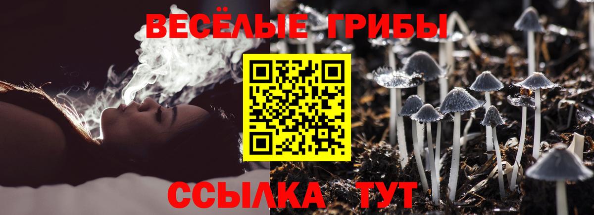 Галлюциногенные грибы MAGIC MUSHROOMS  купить закладку  Сергиев Посад  Вход с VPN  Галлюциногенные грибы ЛСД 